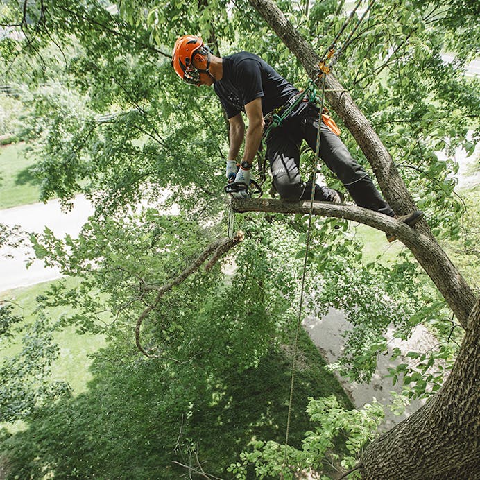 Stihl MS 194 T