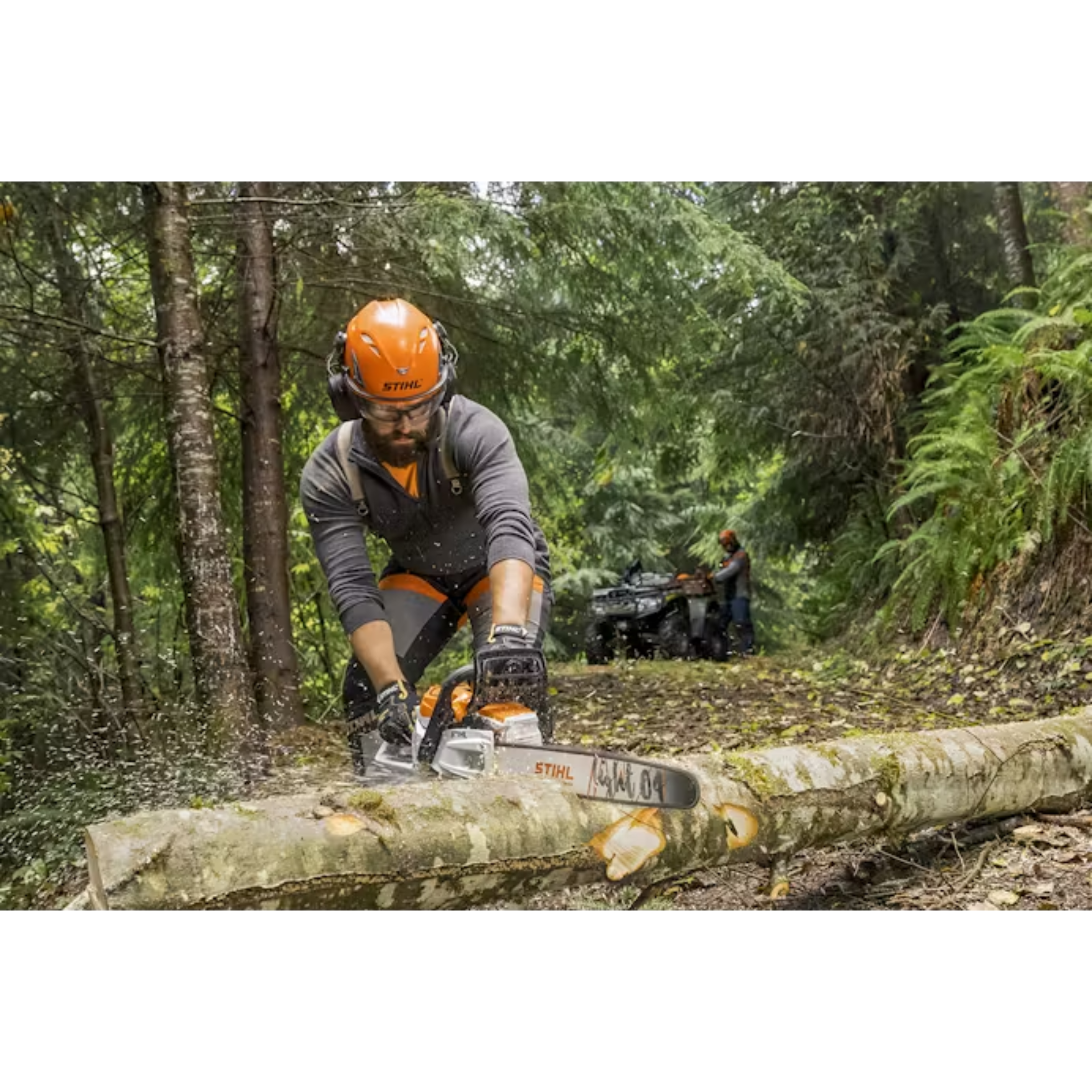STIHL® MSA 300 C-O Battery-Powered Chainsaw 16
