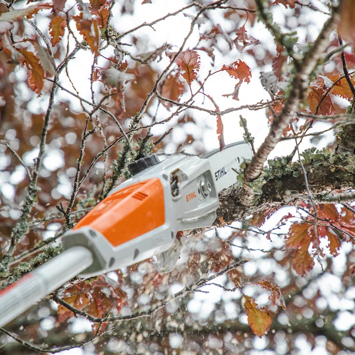 STIHL® HTA 50