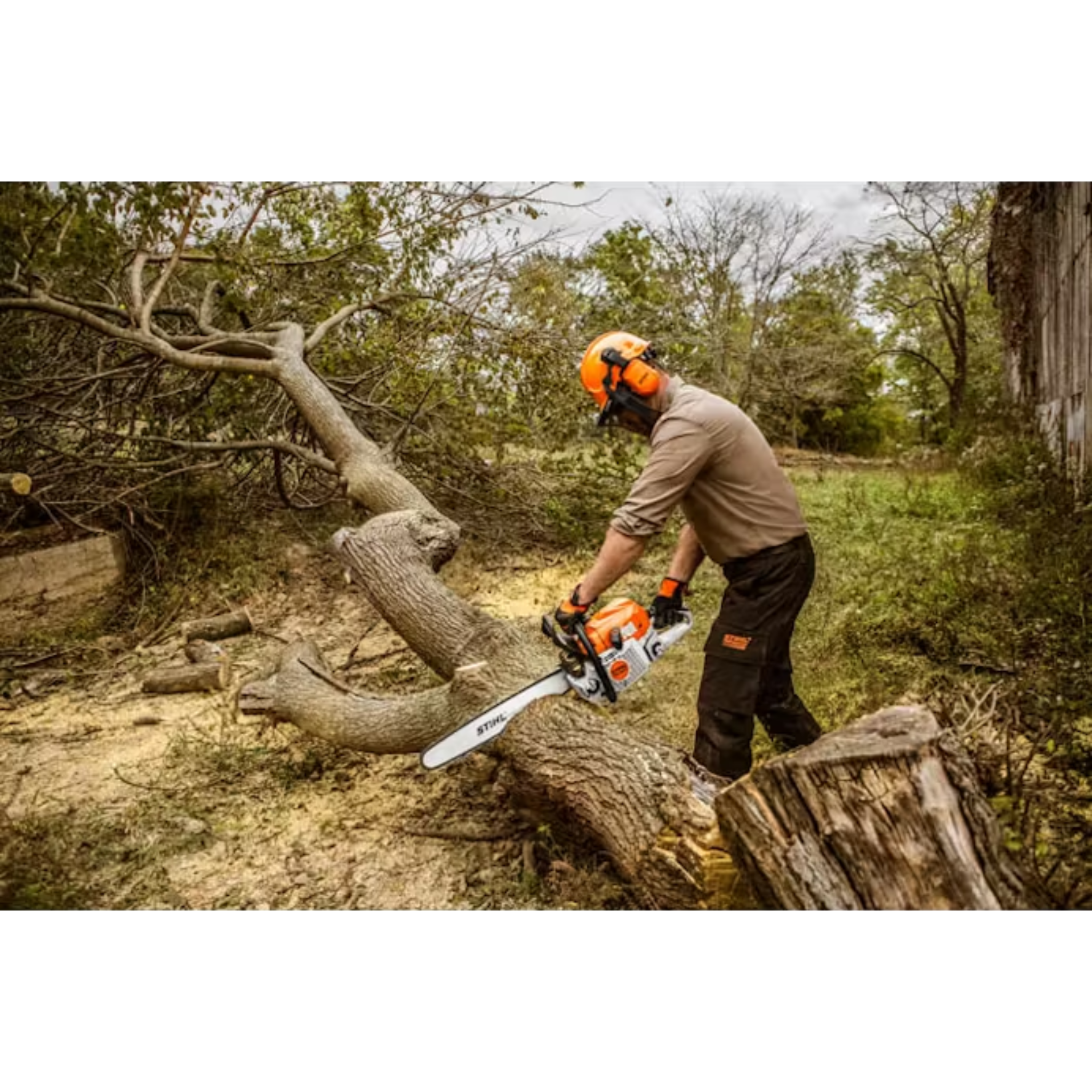 STIHL® MS 362 C-M Chainsaw