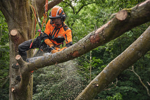 STIHL® MSA 220 TC-O Top Handle Chainsaw 12