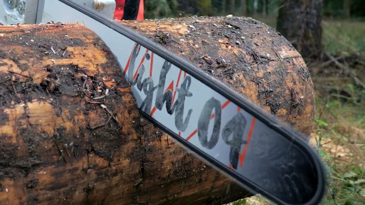 STIHL® MS 291 Gas Chainsaw 18