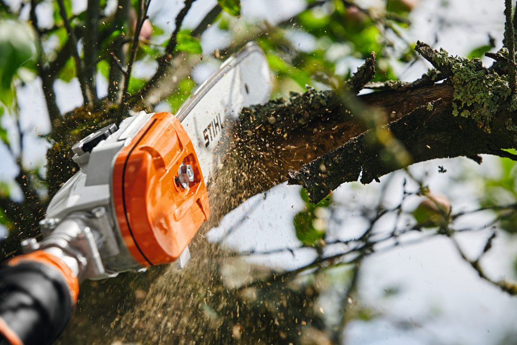 STIHL® HTA 135 Cordless Pole Pruner - AP System