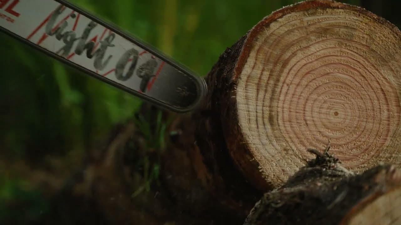 STIHL® MS 261 Chainsaw 18