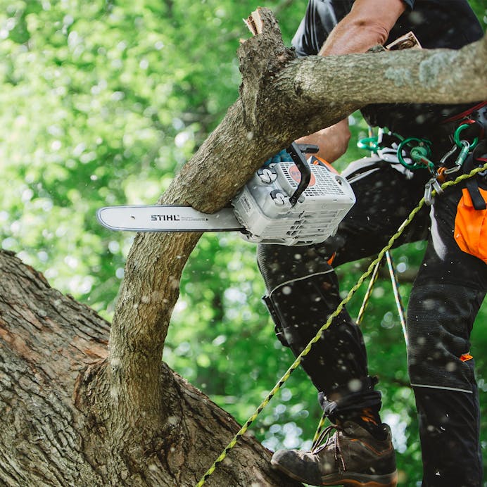 STIHL® MS151T C-E
