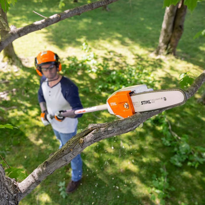 STIHL® HTA66 Pole Saw