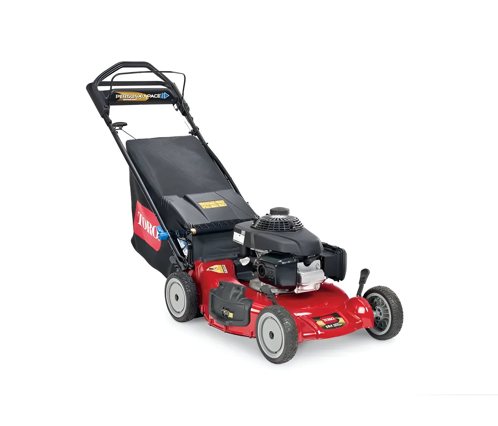Toro 21