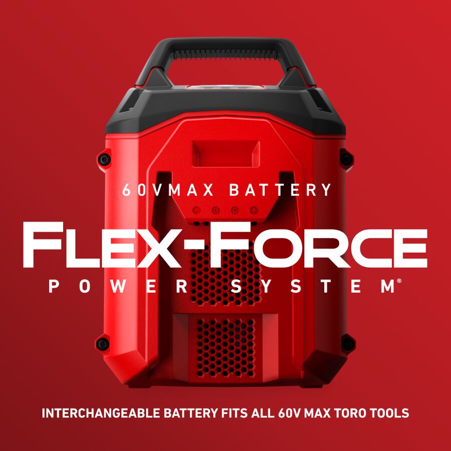 Toro	51870 60V MAX* 10 in. (25.4 cm) Brushless Pole Saw with 2.0Ah battery