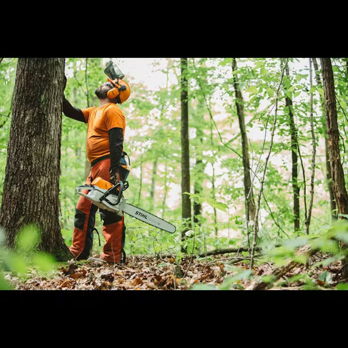 STIHL® MS 462 C-M 25 in