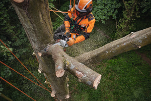 STIHL® MSA 220 T Cordless Chainsaw