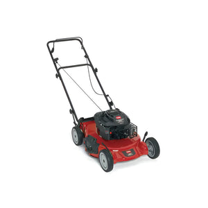 Toro 20053 Walk-Behind Mower