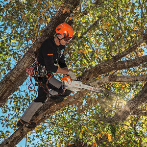 STIHL® MSA 220 T