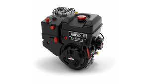 Briggs & Stratton 1650 Snow Series™