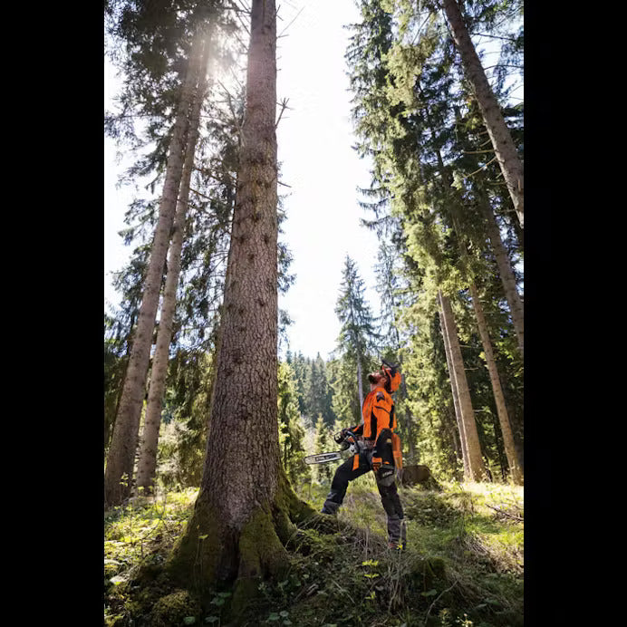 STIHL® MS 462 C-M 25 in