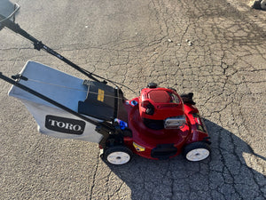 Toro Recycler 20332