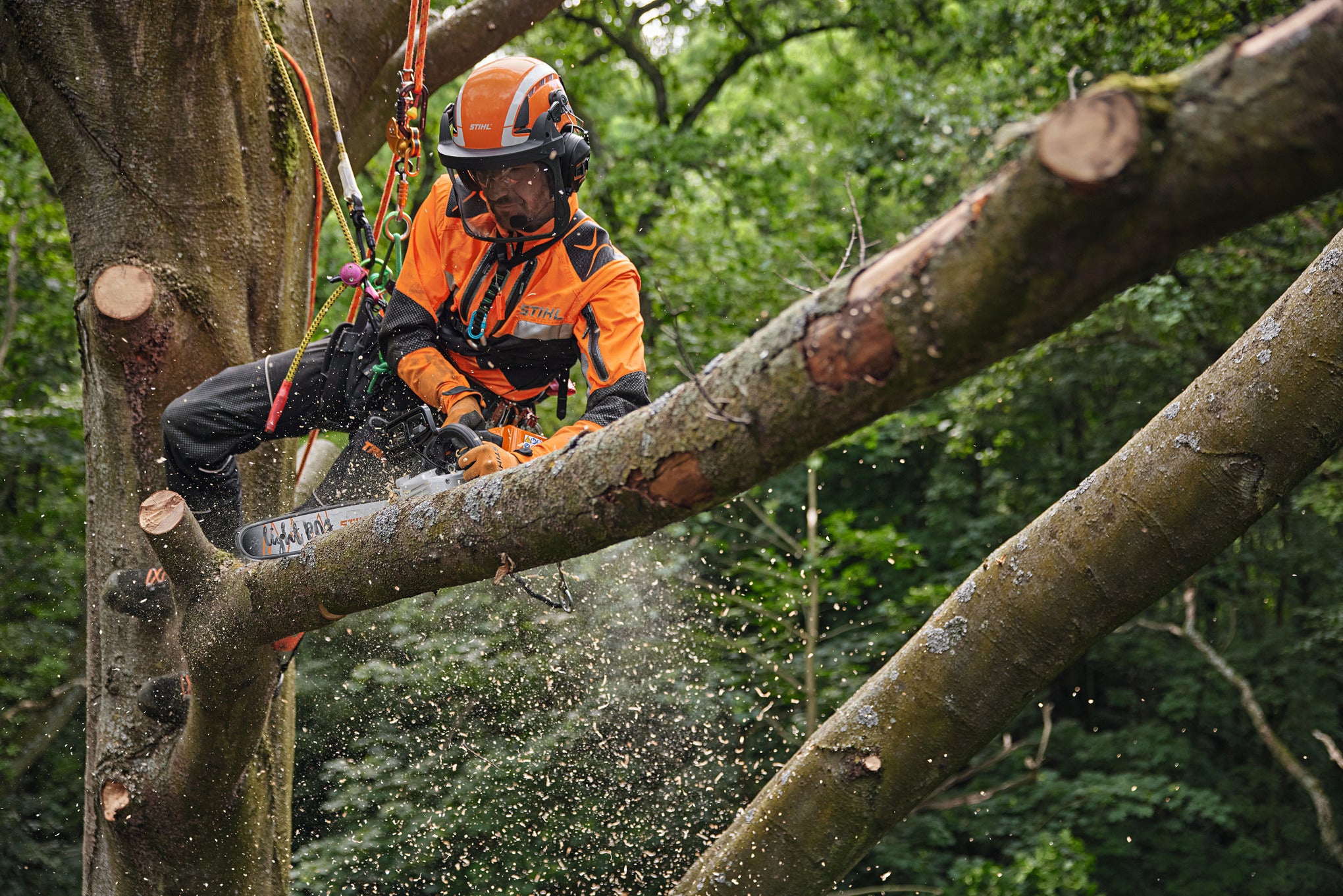 STIHL® MSA 220 TC-O Top Handle Chainsaw 16