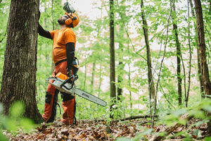 STIHL® MS 462 C-M
