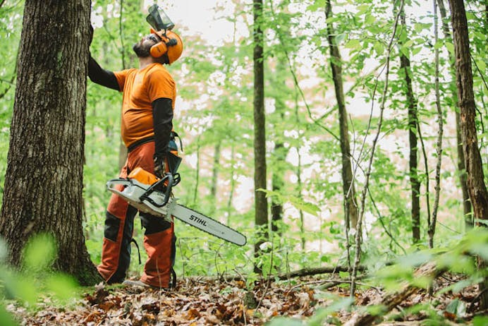 STIHL® MS 462 C-M
