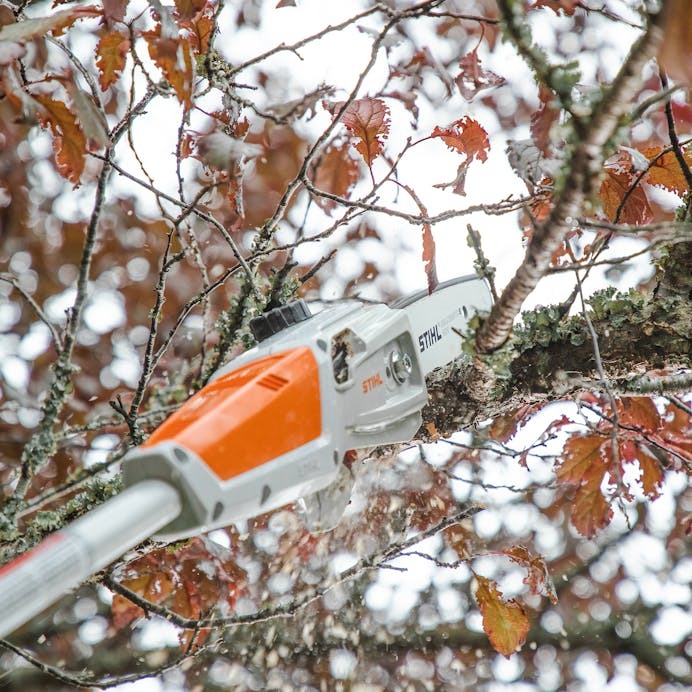 STIHL® HTA 50