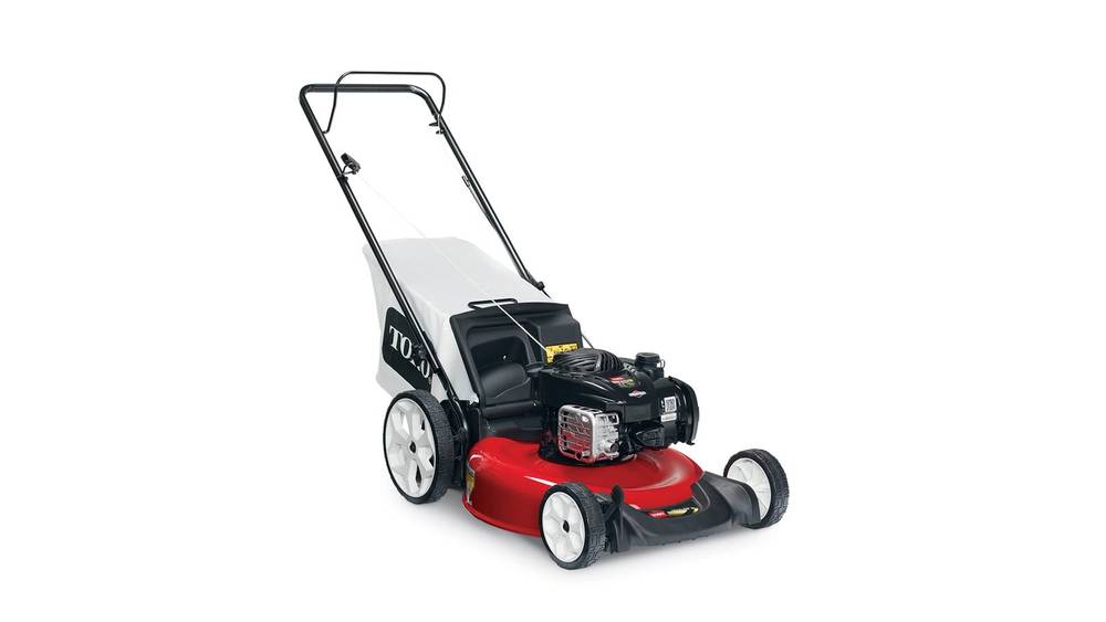 Toro 21