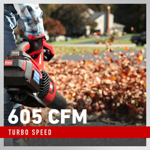 Toro	60V MAX* 157 mph Brushless Leaf Blower with 4.0Ah Battery (51822)