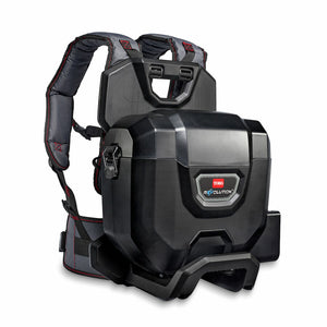 Toro 66000T 60V MAX* Revolution Backpack (66000T)