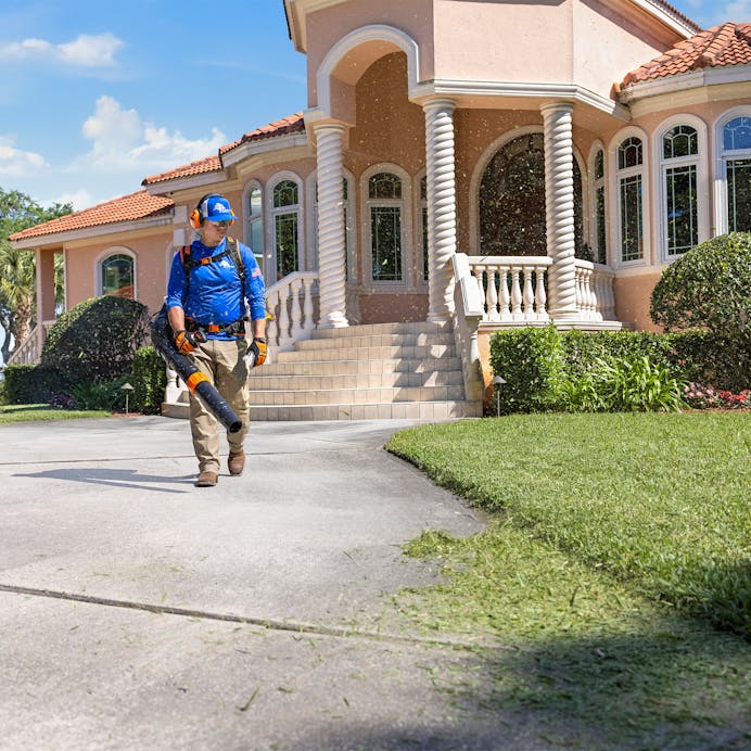 STIHL® BR 800 C‑E Backpack Blower | 79.9 cc Engine | 41 Newtons Blowing Force