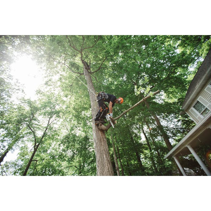 STIHL® MS 151 T C-E