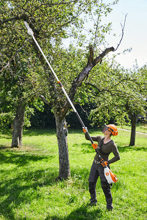 STIHL® HTA 135 Cordless Pole Pruner - AP System
